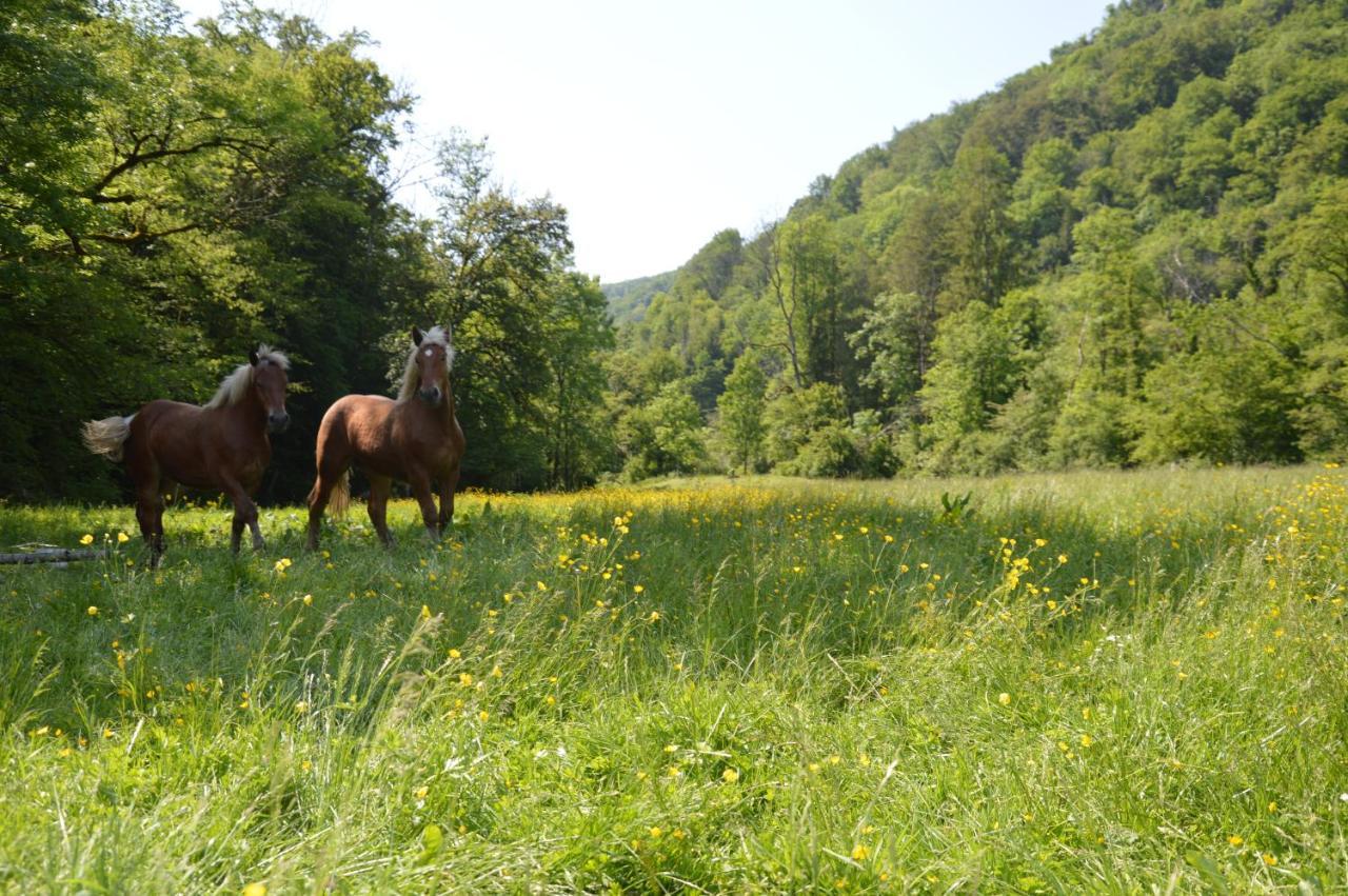 Bed and Breakfast Moulin De La Cuse - L'Ilote Cusance Esterno foto